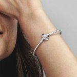 Disney x Pandora твърда гривна Любознателен и любопитен