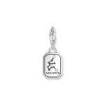 Thomas Sabo Charm Зодия Водолей