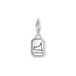 Thomas Sabo Charm Зодия Козирог