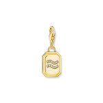 Thomas Sabo Charm Зодия Водолей