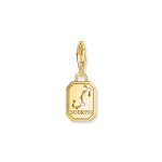 Thomas Sabo Charm Зодия Скорпион