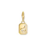 Thomas Sabo Charm Зодия Козирог